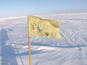 Site Flag at Site 3 still standing strong, through frozen 